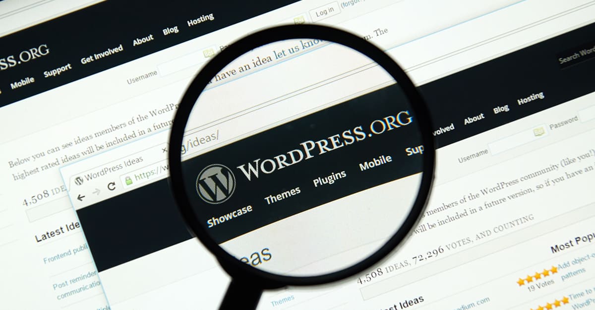 Wordpress weboldal karbantartás profi szakember által