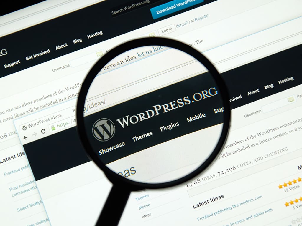 Wordpress weboldal karbantartás profi szakember által