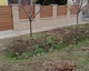 Review photo #1