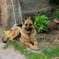 Zita
