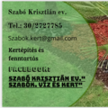 Krisztián