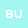 Budai Norbert