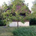 László