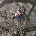Krisztián