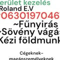 Roland