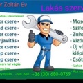 Zoltan S.