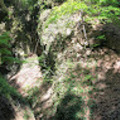 Anasztázia