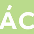 Árpi