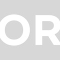 Orsi