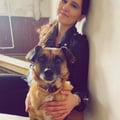 Anett